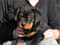 Mr Green 8 weeks