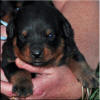 Mr Lt Blue 0432